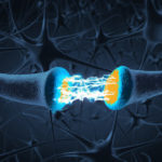 tvorba noveho nervoveho prepojenia
